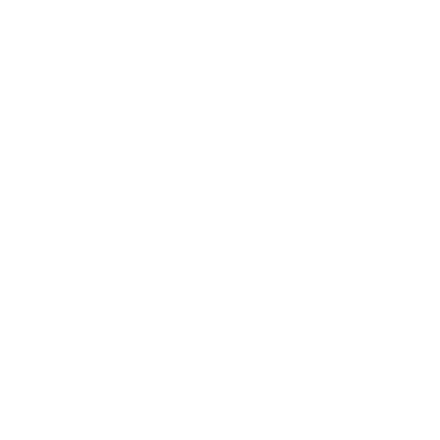 Digital Marketing Company BT Web Group White Logo