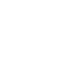 Digital Marketing Company BT Web Group White Logo